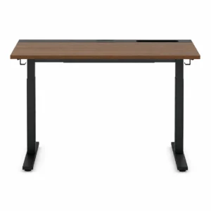 Modern Adjustable Standing Desk